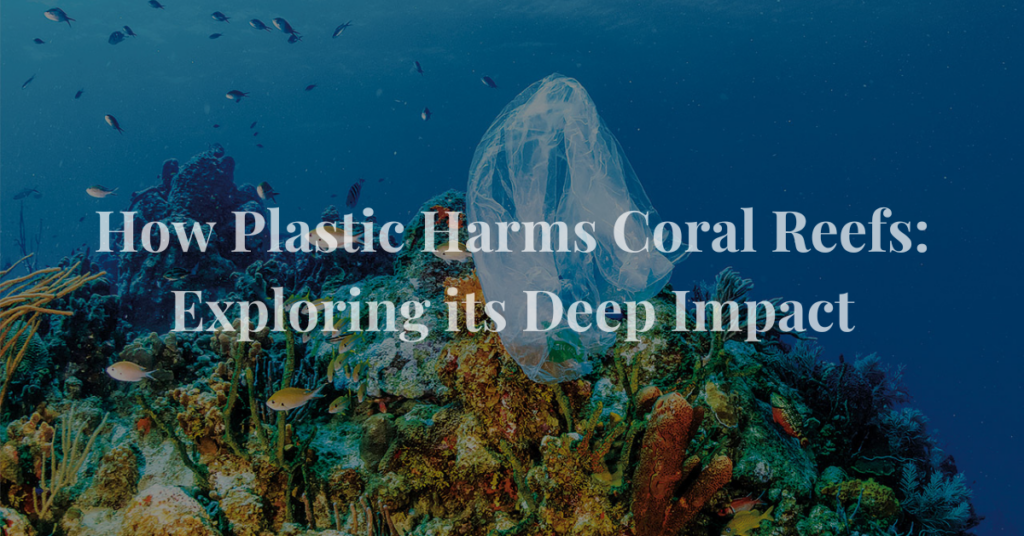 How Plastic Harms Coral Reefs: Exploring its Deep Impact